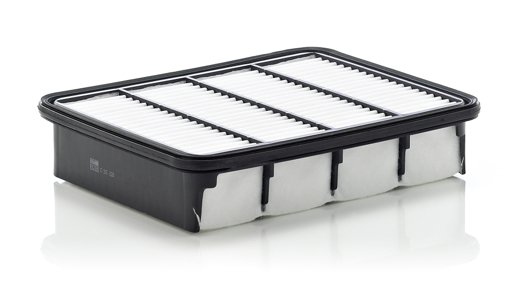 Filtru aer Mann-Filter C 25 128 Protecție Motor