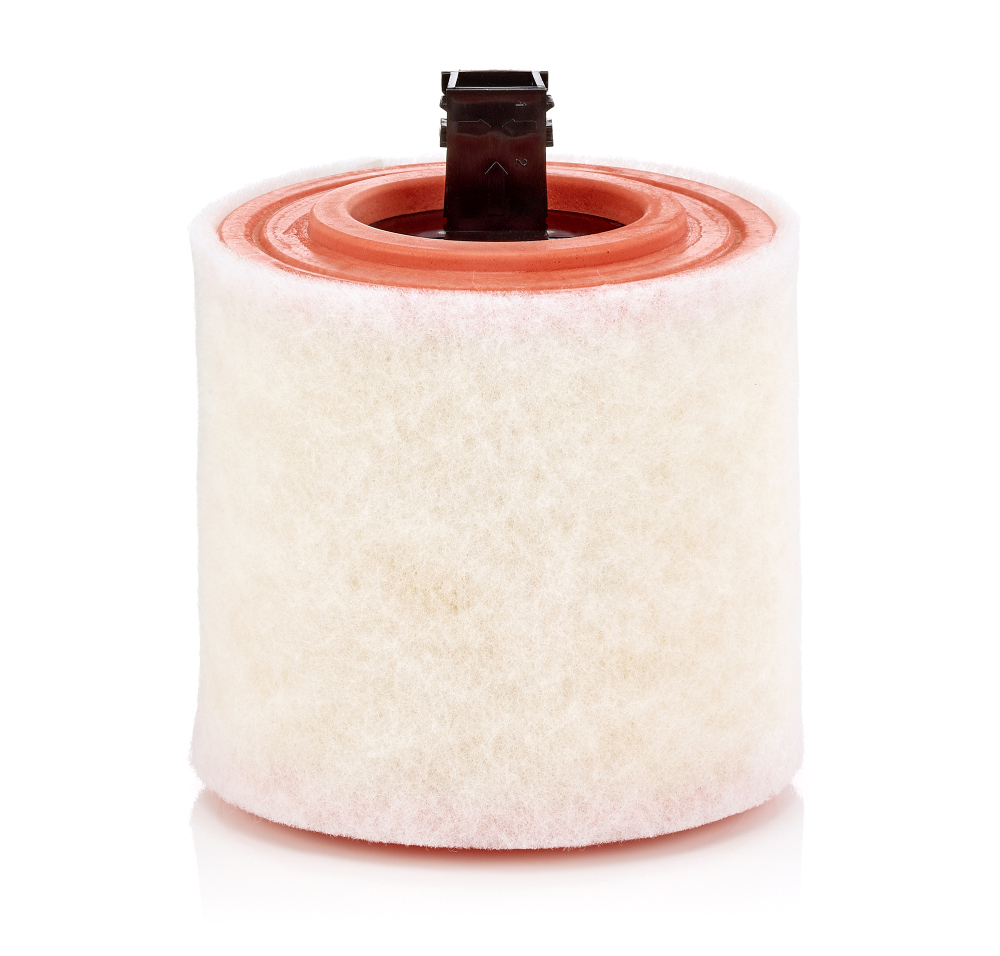 Filtru Aer Mann-Filter C 16 012 - Protecție Motor