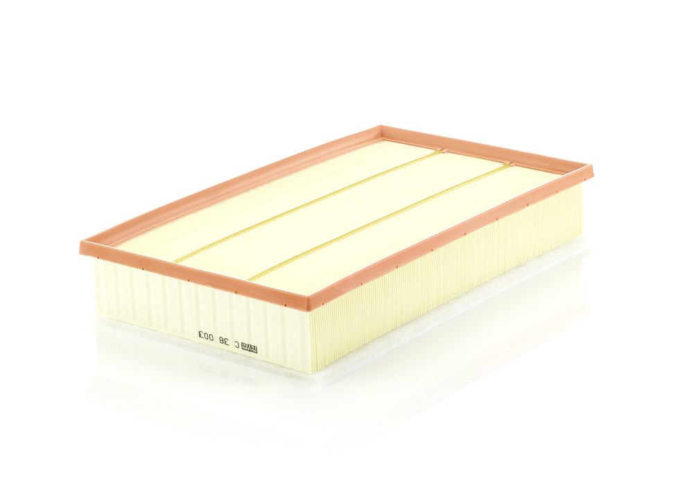 Filtru Aer Mann-Filter C 38 003 Protecție Motor