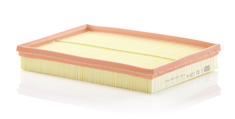 Filtru Aer Mann-Filter C 30 125 4 - Performanță