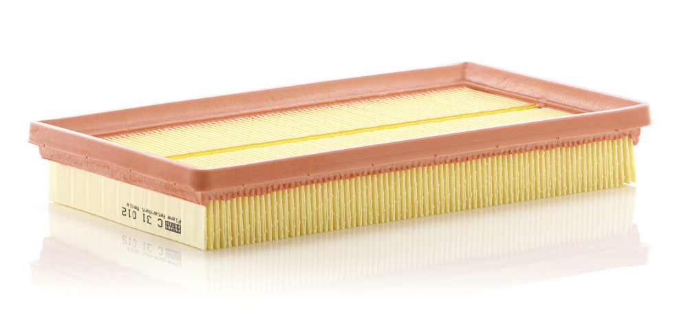Filtru Mann-Filter C 31 012 | Protecție Motor
