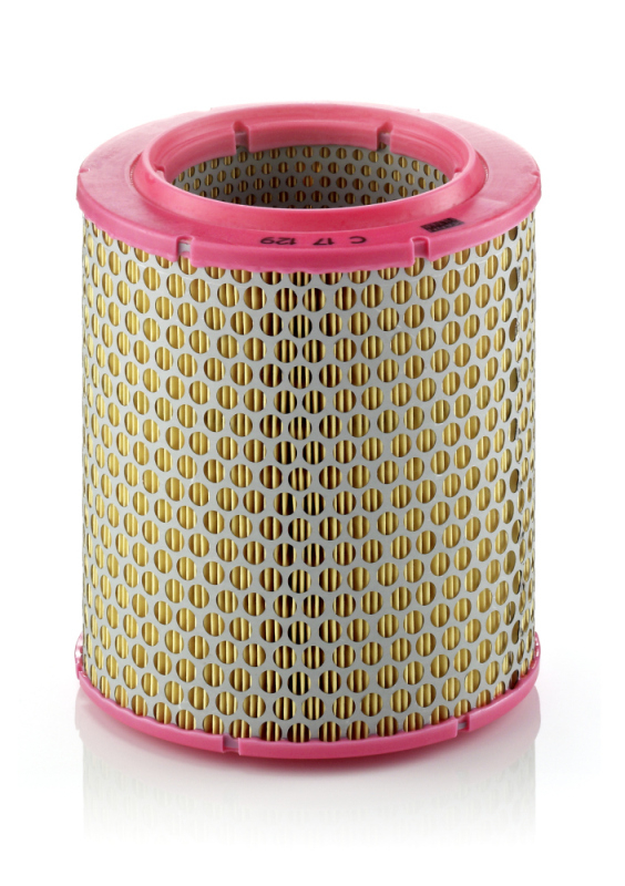 Filtru aer Mann-Filter C 17 129 - Protecție Motor