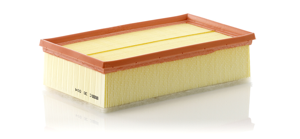 Filtru aer Mann-Filter C 30 004 - Protecție Motor