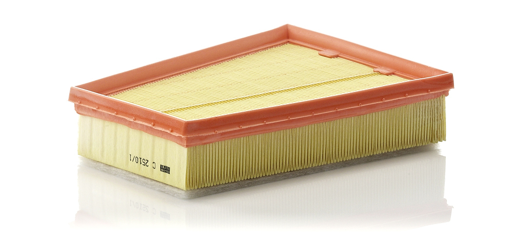 Filtru Mann-Filter C 2510 1 - Puritate Maximă