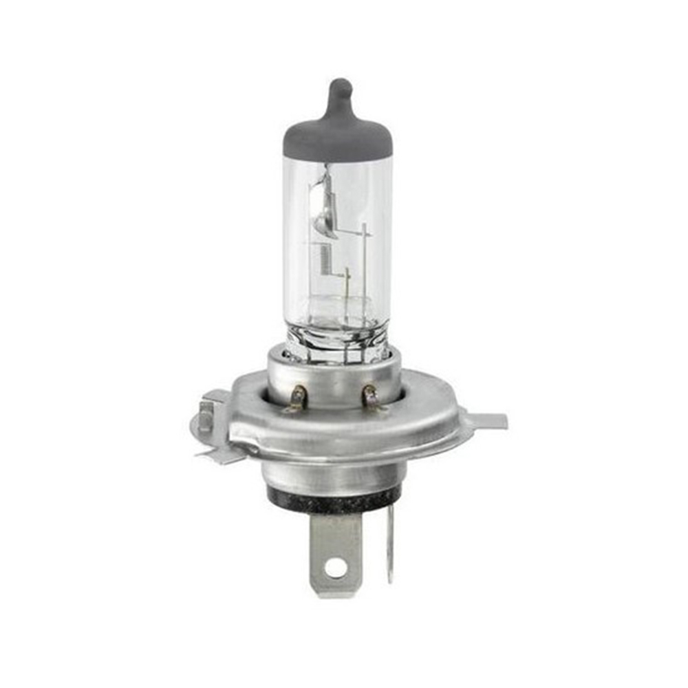 Bec Camion Narva Heavy Duty 24V H4