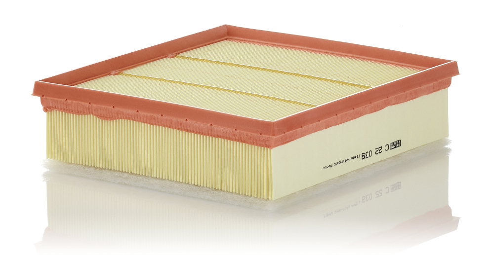 Filtru Aer Mann-Filter C 22 039 | Protecție Optimă