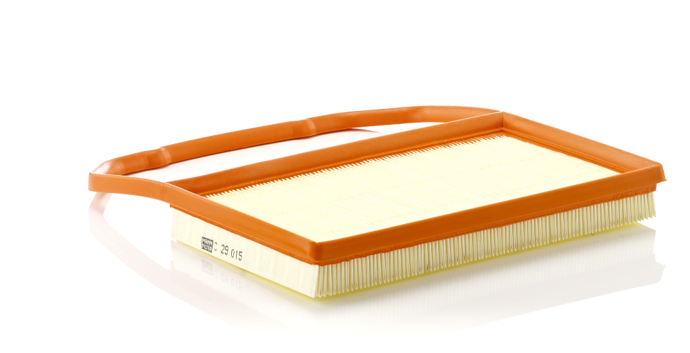 Filtru Aer Mann-Filter C 29 015 | Protecție Motor