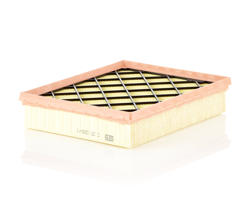 Filtru aer Mann-Filter C 25 008 1 | Puritate Maximă