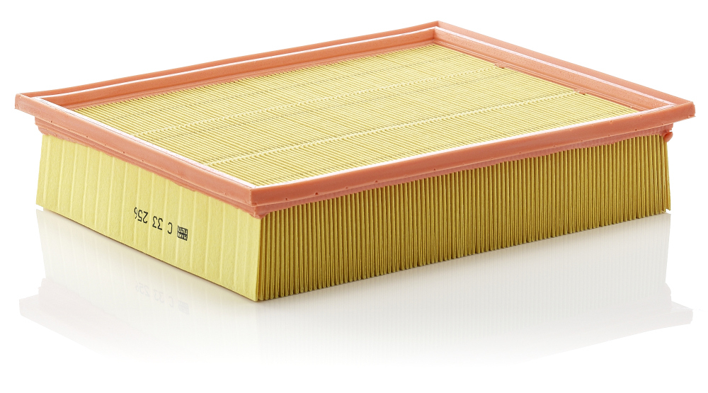 Filtru Aer Mann-Filter C 33 256 | Protecție Motor