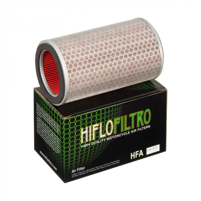 Filtru Aer Hiflofiltro HFA1917 | Performanță Superioară