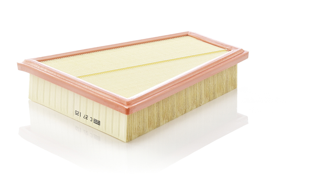 Filtru aer Mann-Filter C 27 125 - Protecție Motor