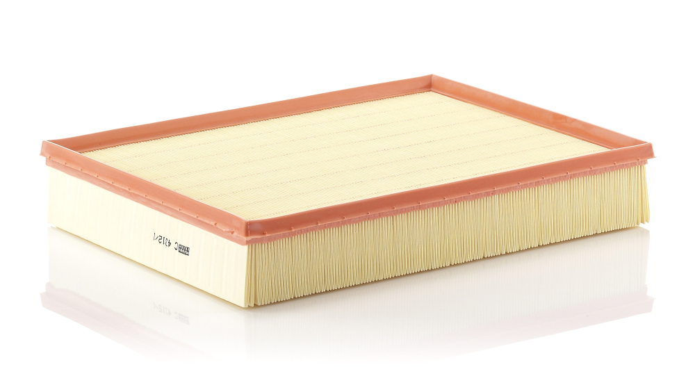 Filtru aer Mann-Filter C 4312 1 - Protecție Motor