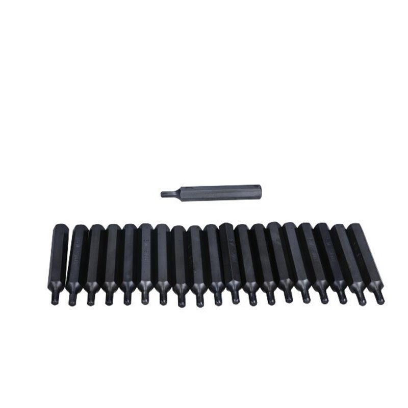 Set 20 biți Rooks profesional 3/8"