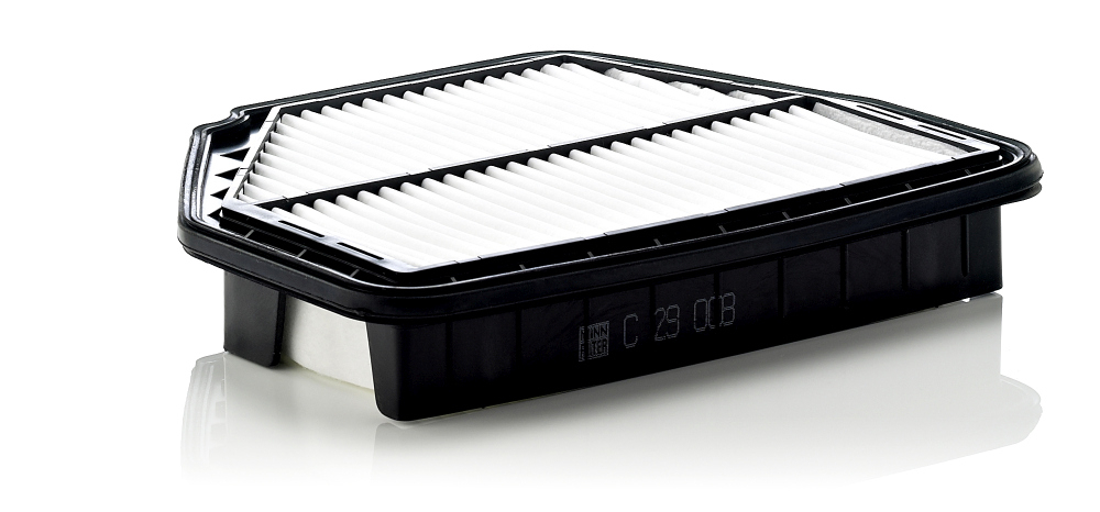 Filtru Aer Mann-Filter C 29 008 | Protecție Superioară