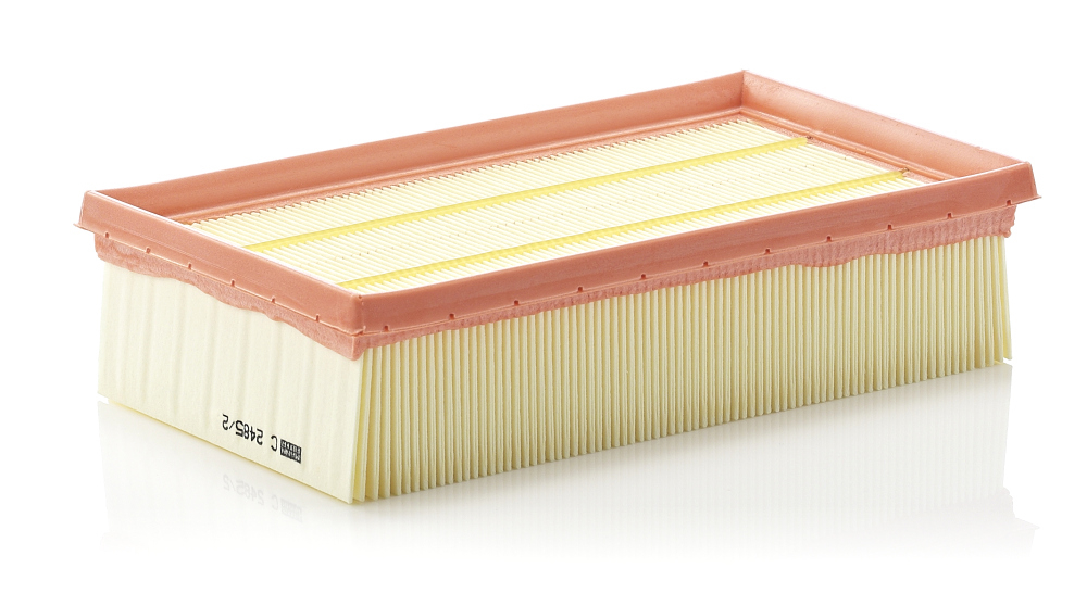 Filtru Aer Mann-Filter C 2485 2 - Protecție Motor