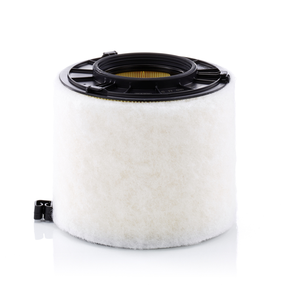 Filtru Aer Mann-Filter C 17 010 - Protecție Motor