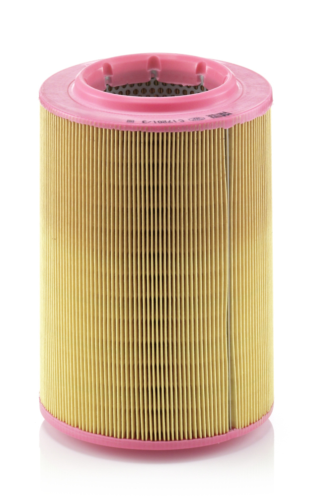 Filtru Mann-Filter C 17 201 3 - Calitate Germană