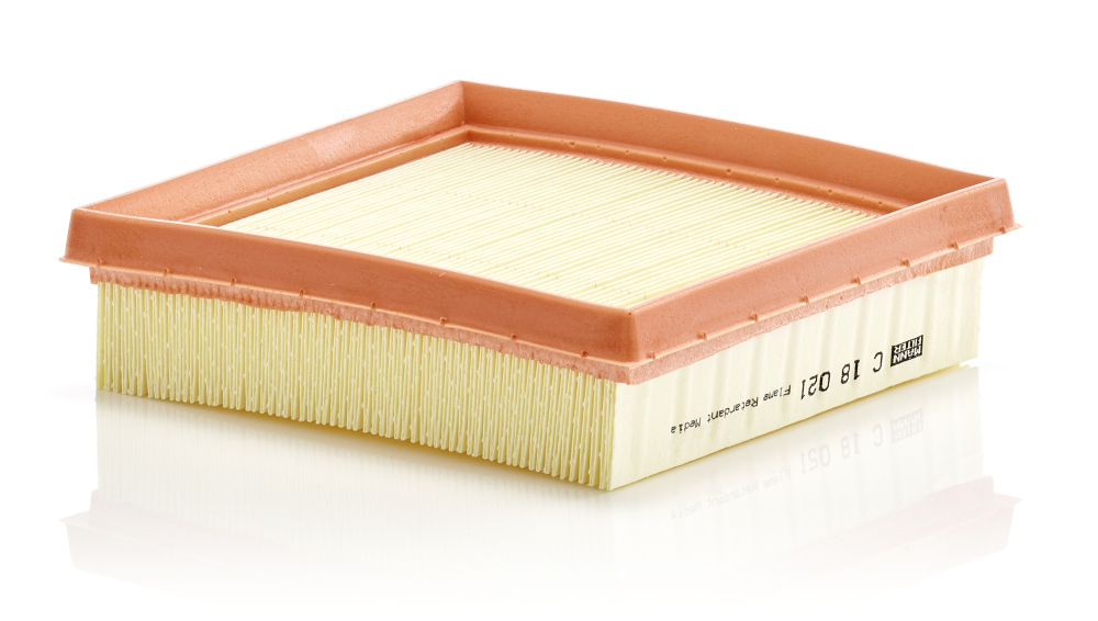 Filtru Aer Mann-Filter C 18 021 - Protecție Motor