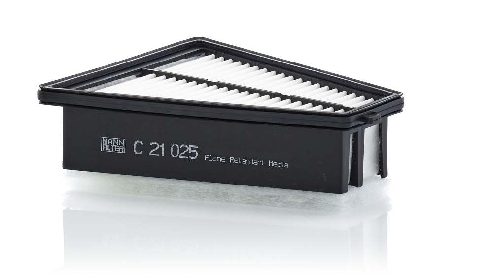 Filtru Aer Mann-Filter C 21 025 - Protecție Motor